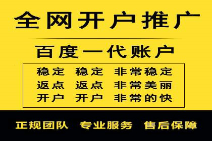 案例分析：打造高效竞价推广策略